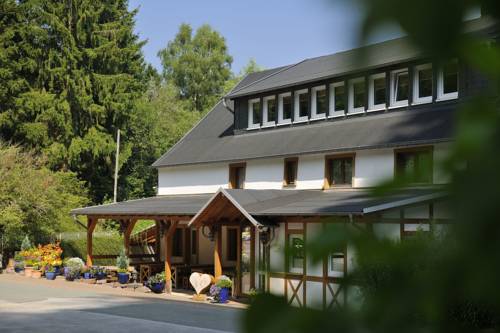 Willingen Германия Код супер скидки booking.com
