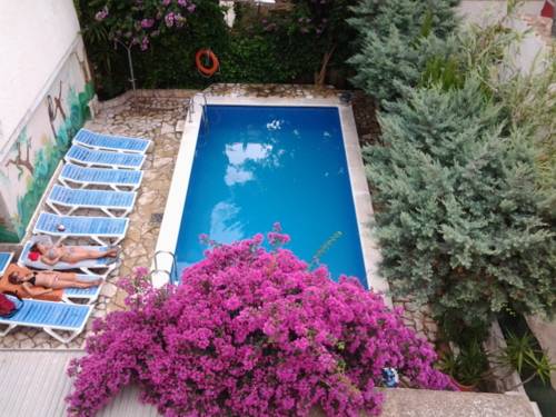 Rose Spagna codice sconto super booking.com